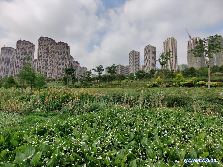 CHINA-GUANGXI-NANNING-WETLAND (CN)