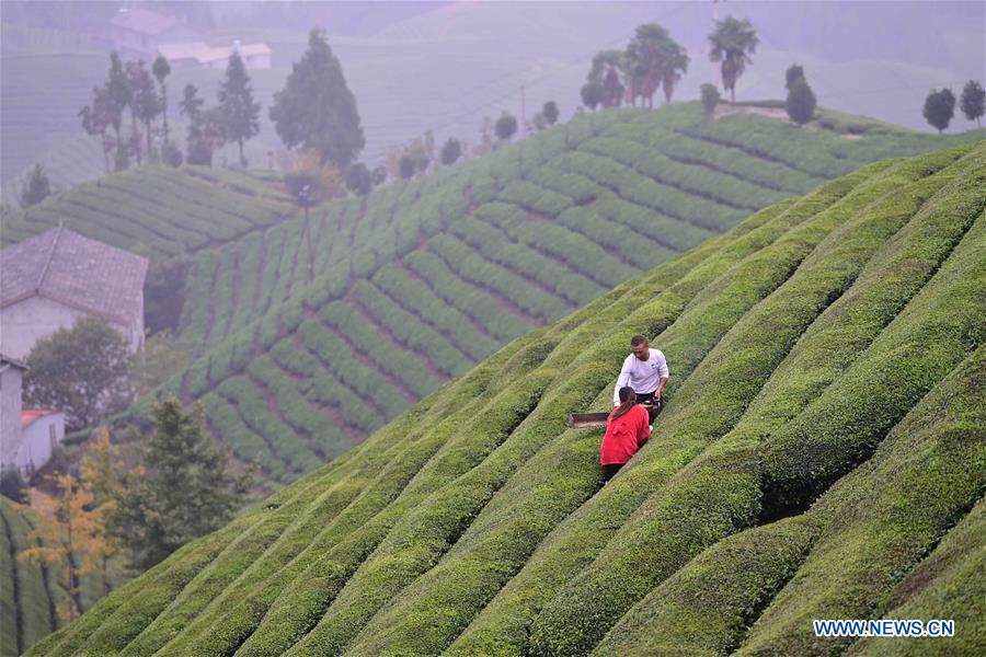 #CHINA-AUTUMN VIEWS (CN)