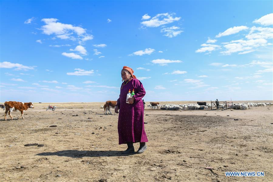 Daily life of herdswoman in China's Inner Mongolia