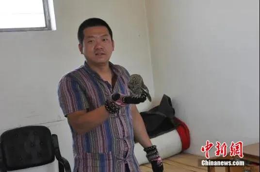 图为救治翅膀受伤的猫头鹰幼鸟。(资料图)