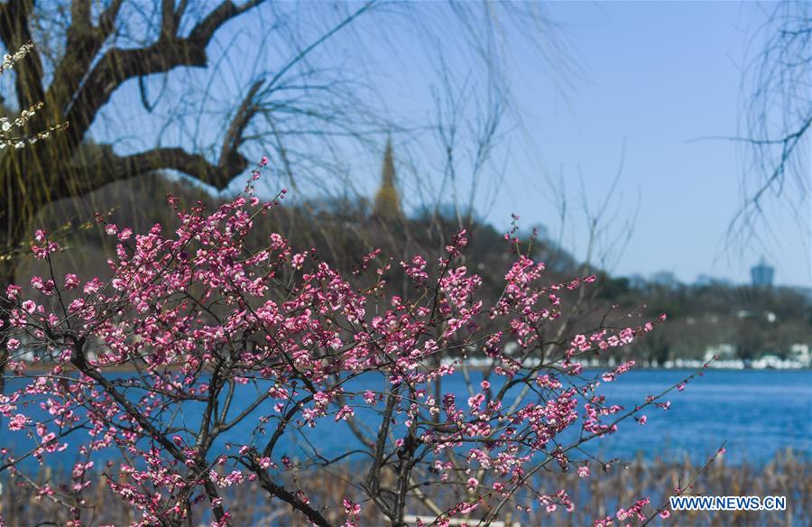 (ZhejiangPictorial) CHINA-ZHEJIANG-HANGZHOU-WEST LAKE-SPRING (CN)