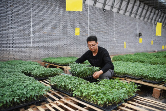 Young Chinese a new force in rural revitalization